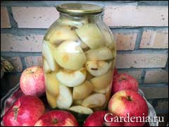 Рецепт и порядок консервирования яблок как моченые